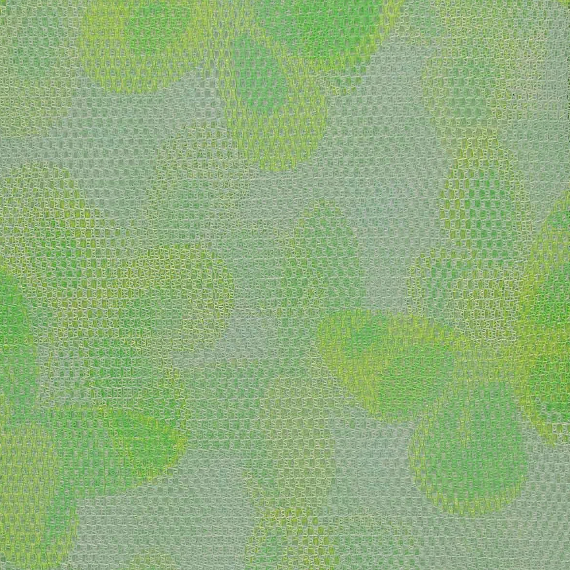 Rideau moustiquaire en maille anti-insectes 150 x 250 cm vert avec anneaux