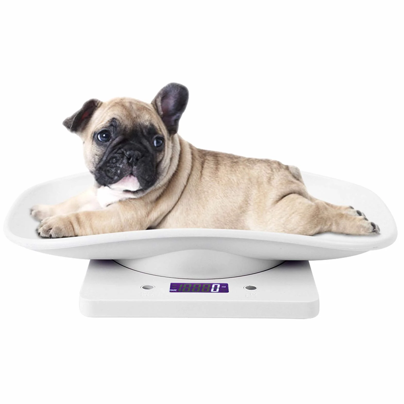 Balance Numérique 10kg/1g pour Petit Animal de Compagnie avec Écran LCD 4 Modes de Pondération