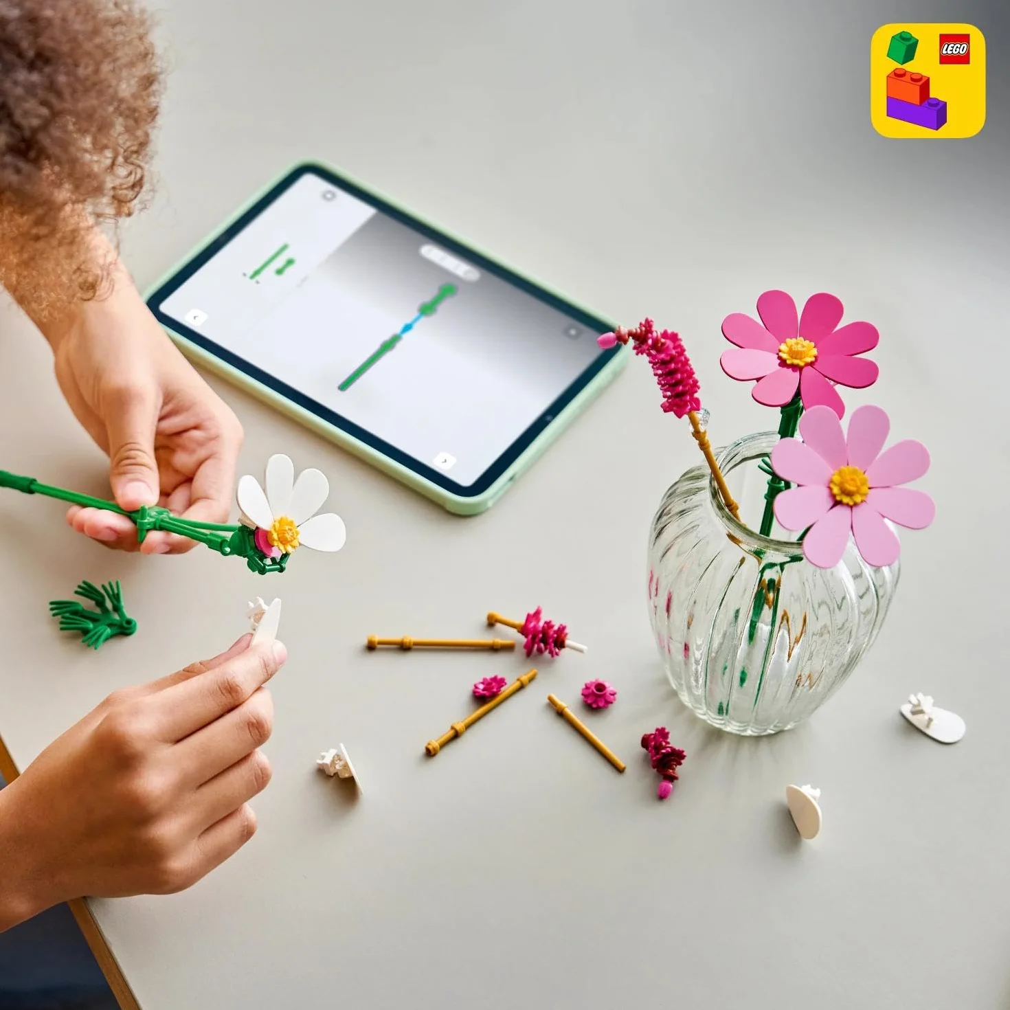 LEGO Botanicals Les Cosmos 11514 Bouquet de Fleurs Artificielles Décoration DIY Cadeau Fille 9 Ans