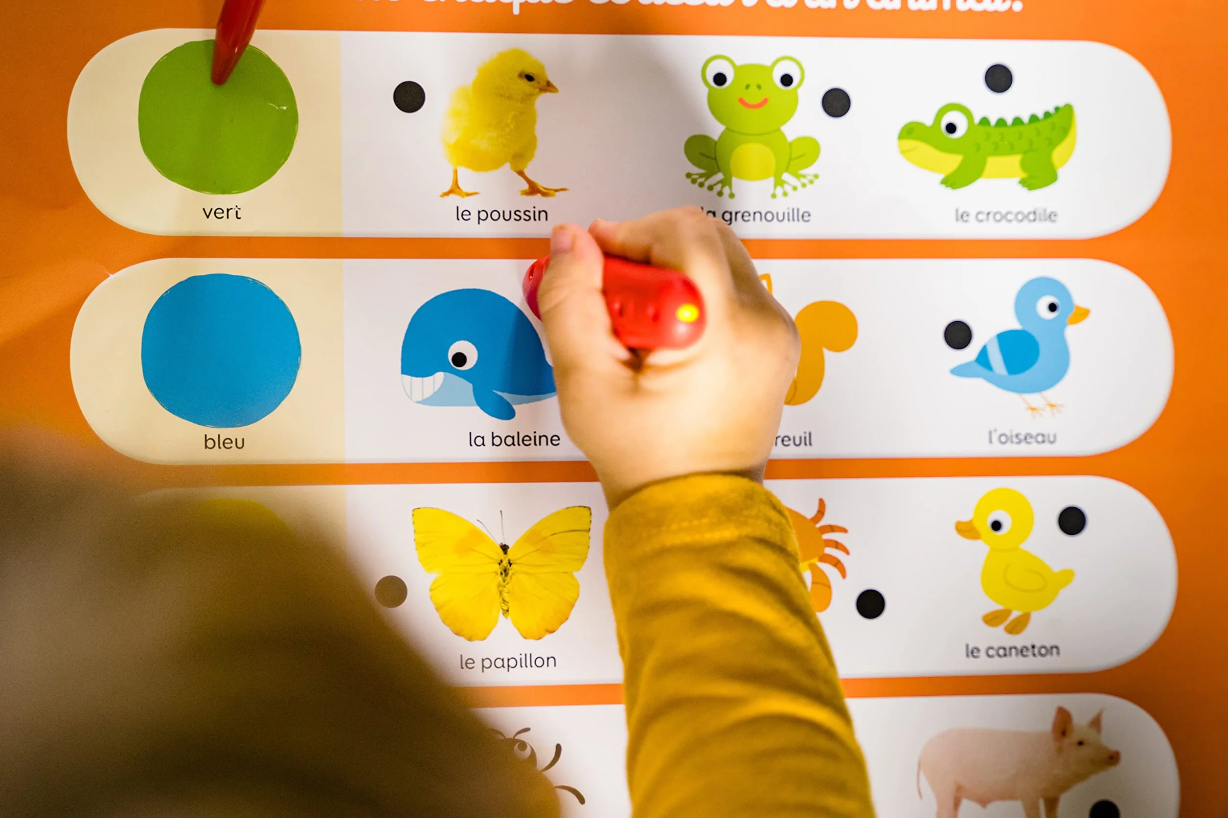 Nathan Baby Electro Mon imagier Jeu d'apprentissage électronique Premiers Mots dès 2 Ans
