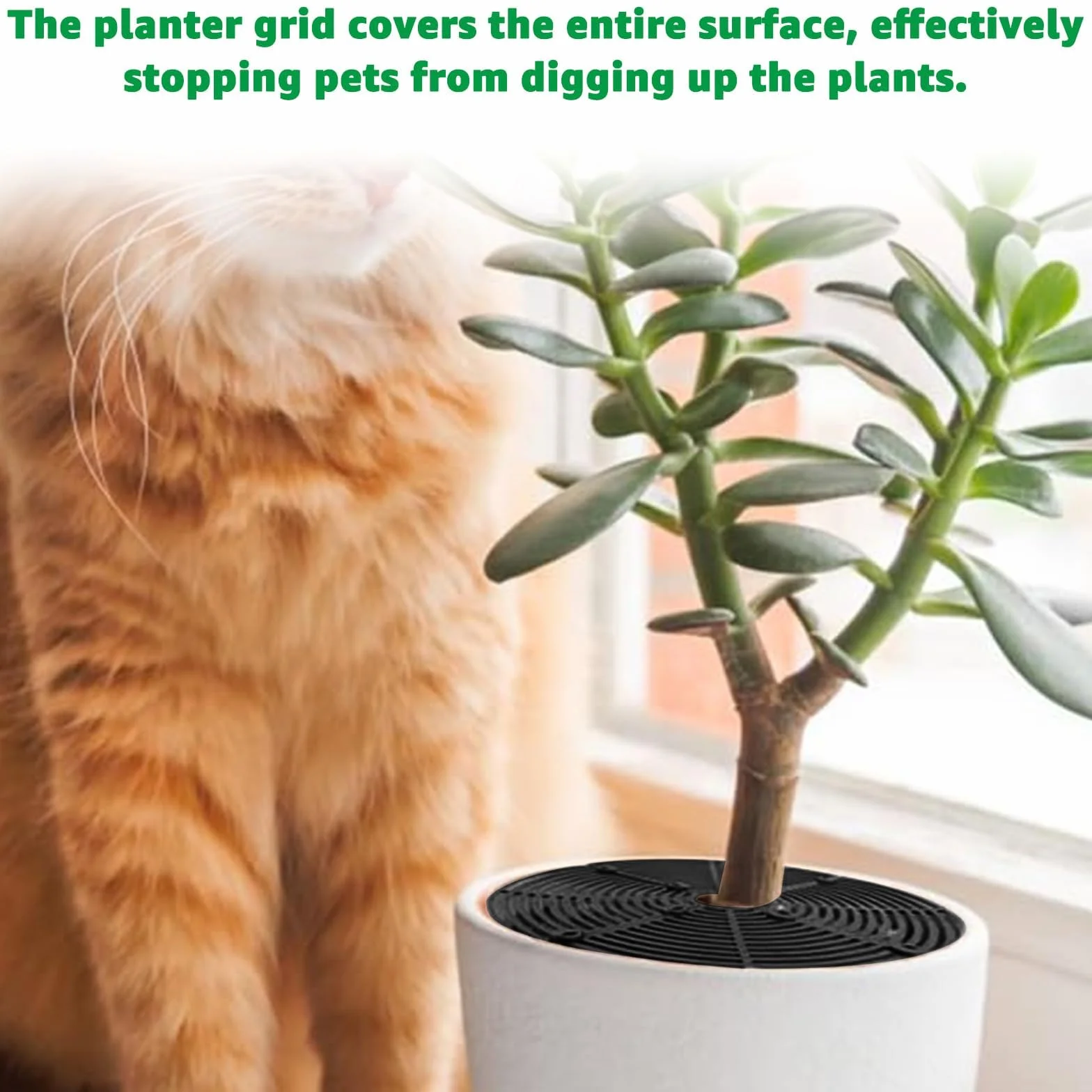 Lot de 5 Grille pour Pot de Fleurs - 30cm + 52cm - Couvercle de Protection des Plantes - Anti-Chat et Sécurité Enfant - Noir
