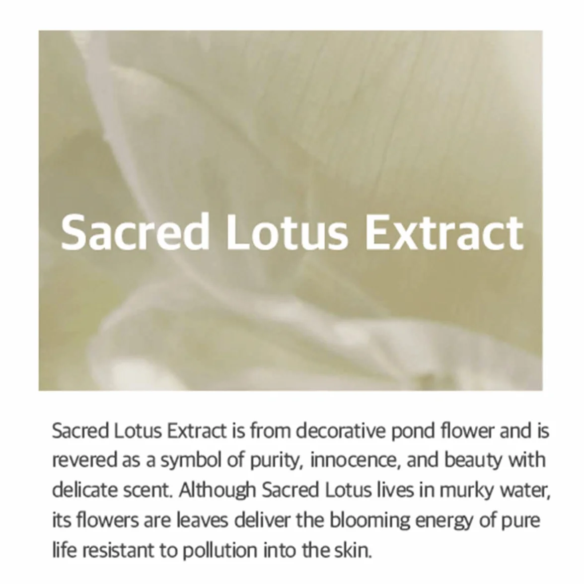 Mixsoon Lotus Flower Essence 100 ml