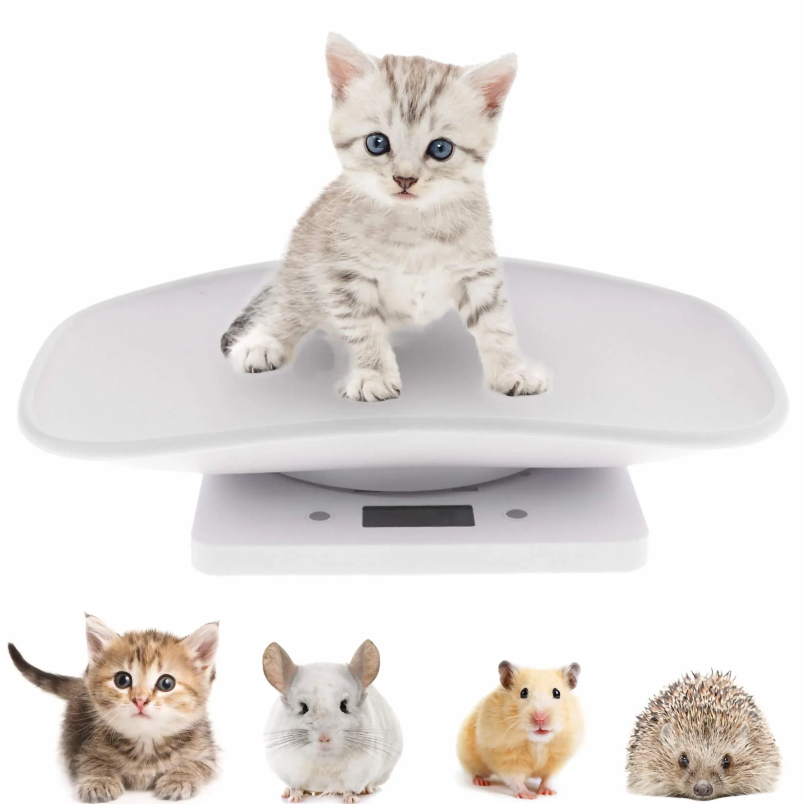 Balance pour Animal Domestique 10KG Échelle électronique Affichage LCD pour Chats Chiens Hamsters