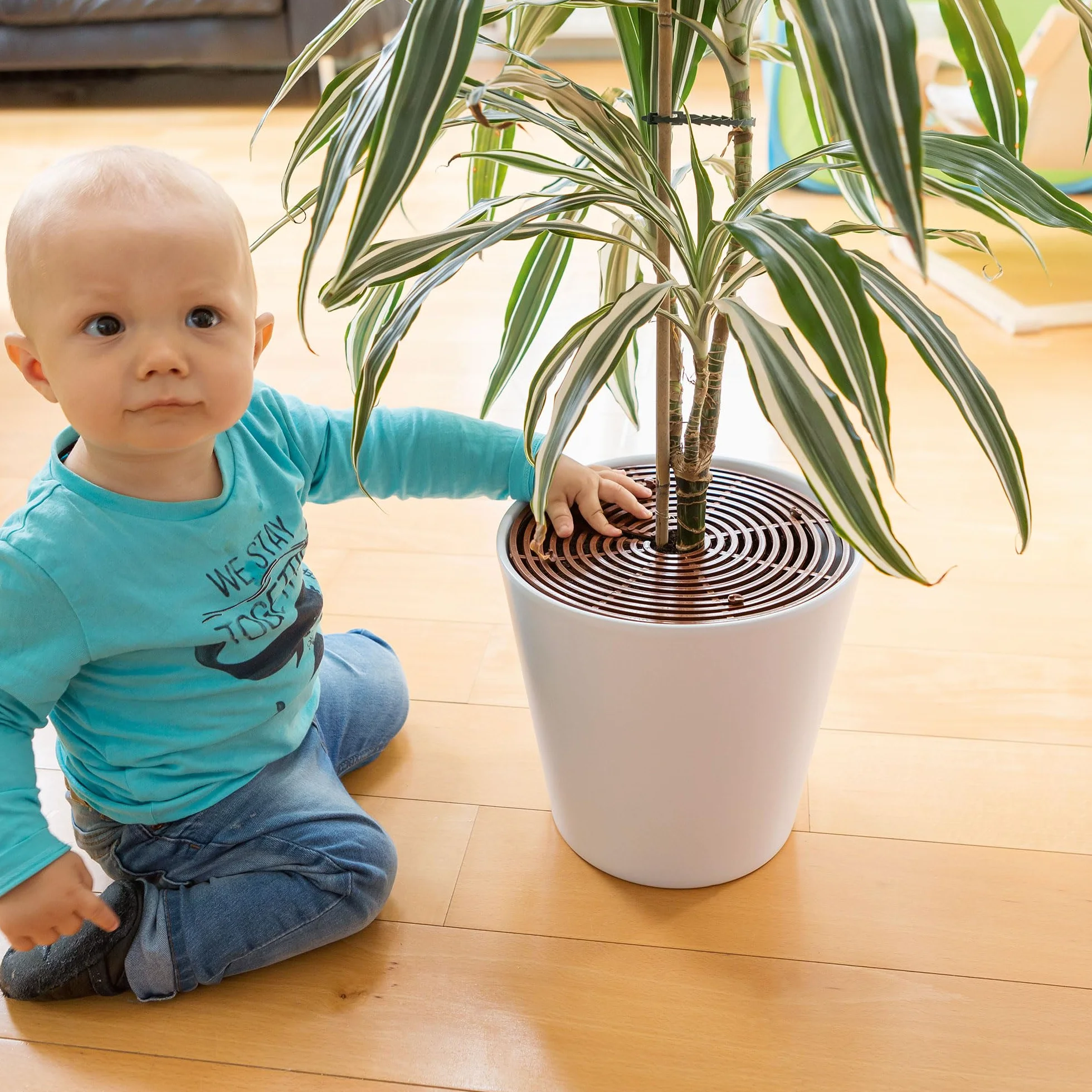 ABUS Grille protection plantes Noah 30 cm marron