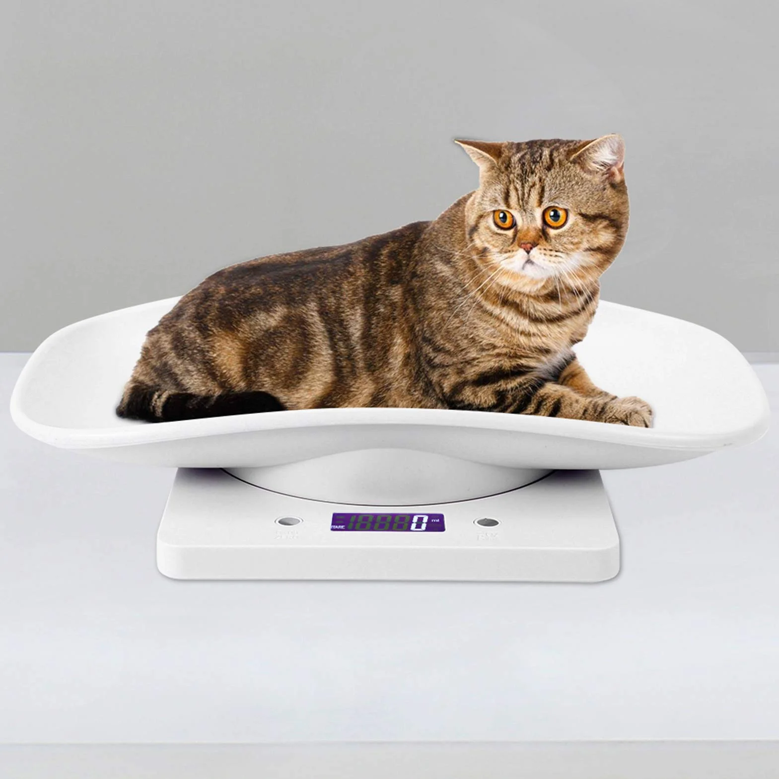 Balance Numérique 10kg/1g pour Petit Animal de Compagnie avec Écran LCD 4 Modes de Pondération