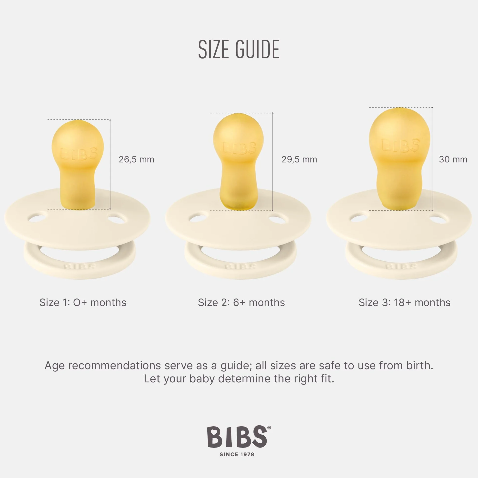 BIBS Colour Tétine Lot de 2 12+ Mois Latex Naturel Sans BPA Woodchuck Blush