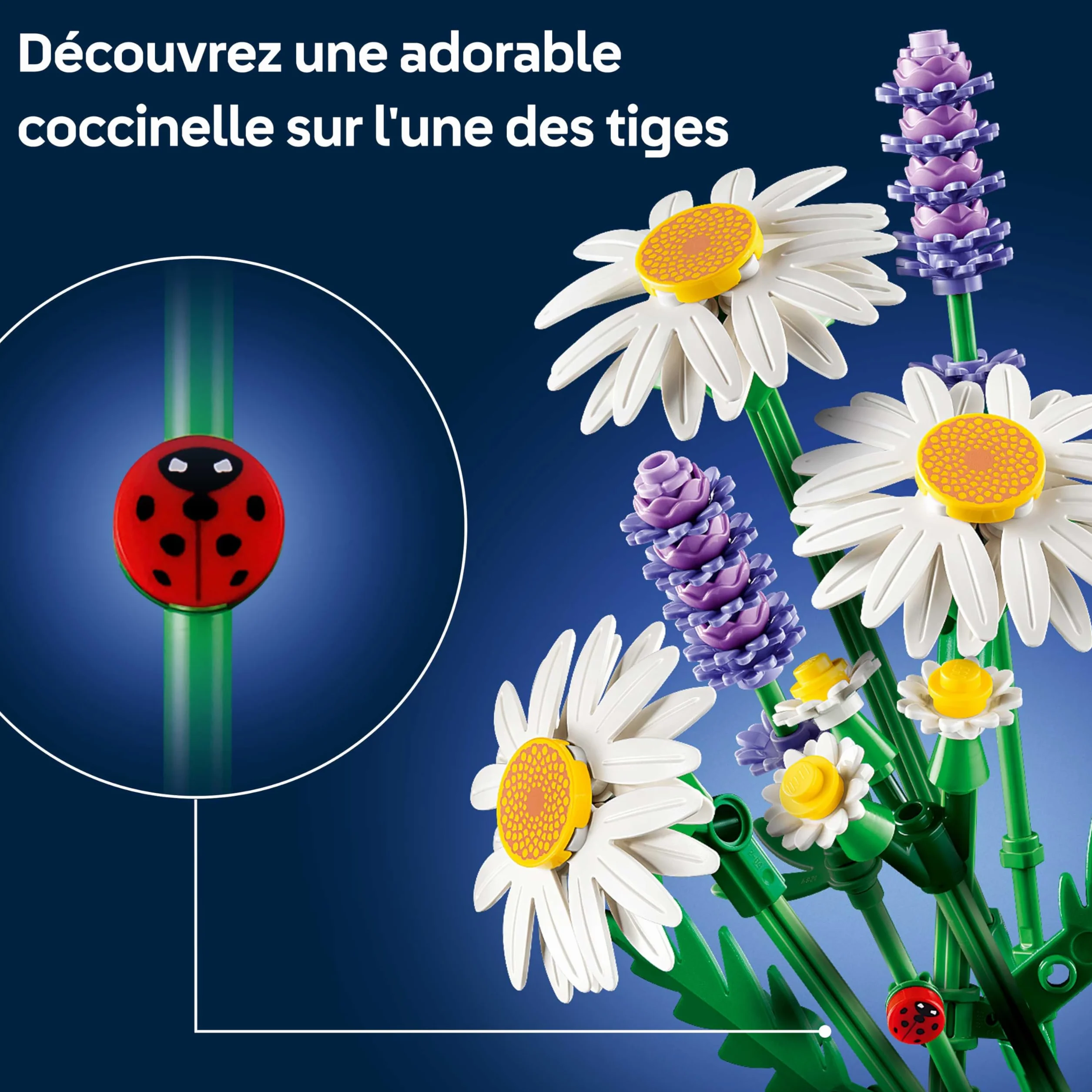 LEGO Botanicals Marguerites 11508 Bouquet de Fleurs Artificielles Marguerites & Lavande Décoration Chambre DIY Cadeau Fille 9 Ans Adulte