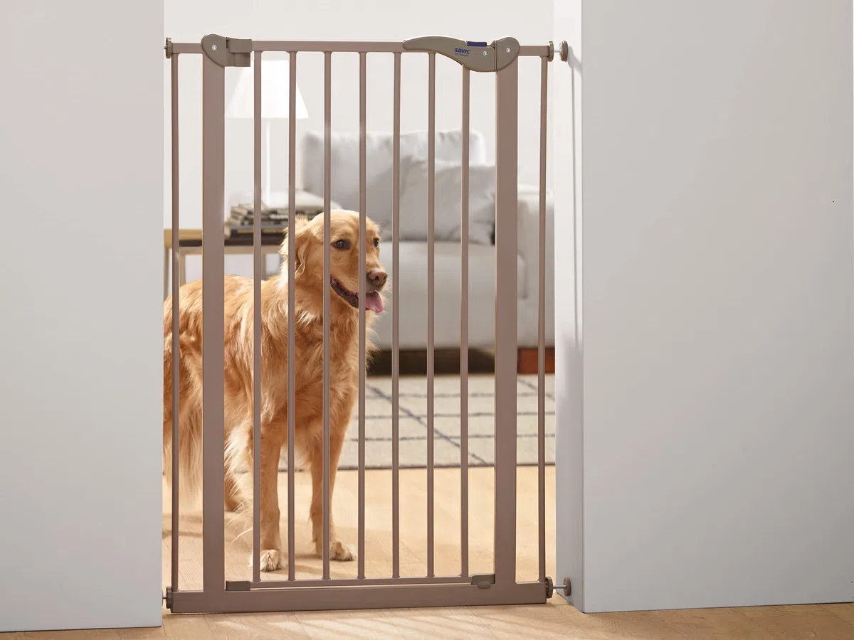 Nobby - Dog Barrier / 76300 - Portail - Hauteur 107 cm