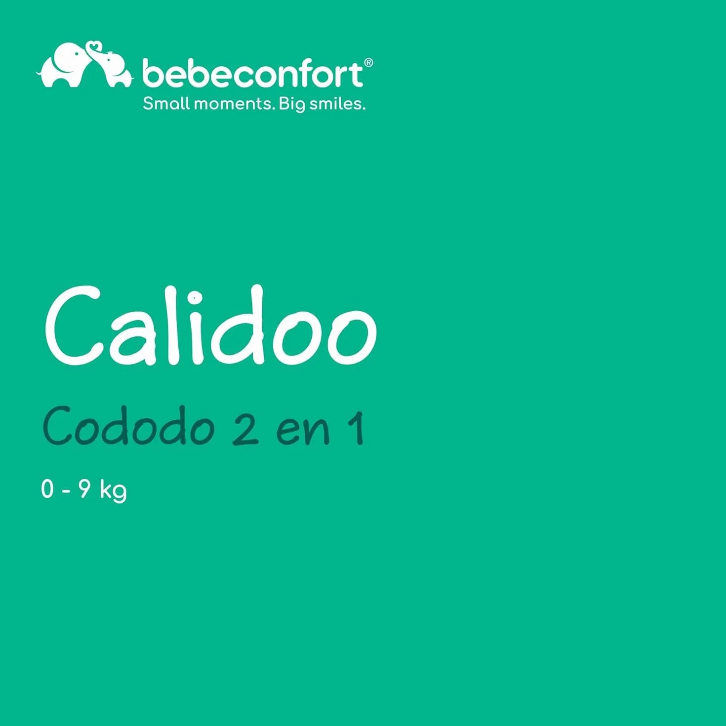 Bebeconfort Calidoo Lit Cododo Bébé Berceau 2-en-1 0-6 mois 0-9 kg Inclinable 5 Hauteurs Grand Matelas Rembourré Côtés Filet Gris Gris