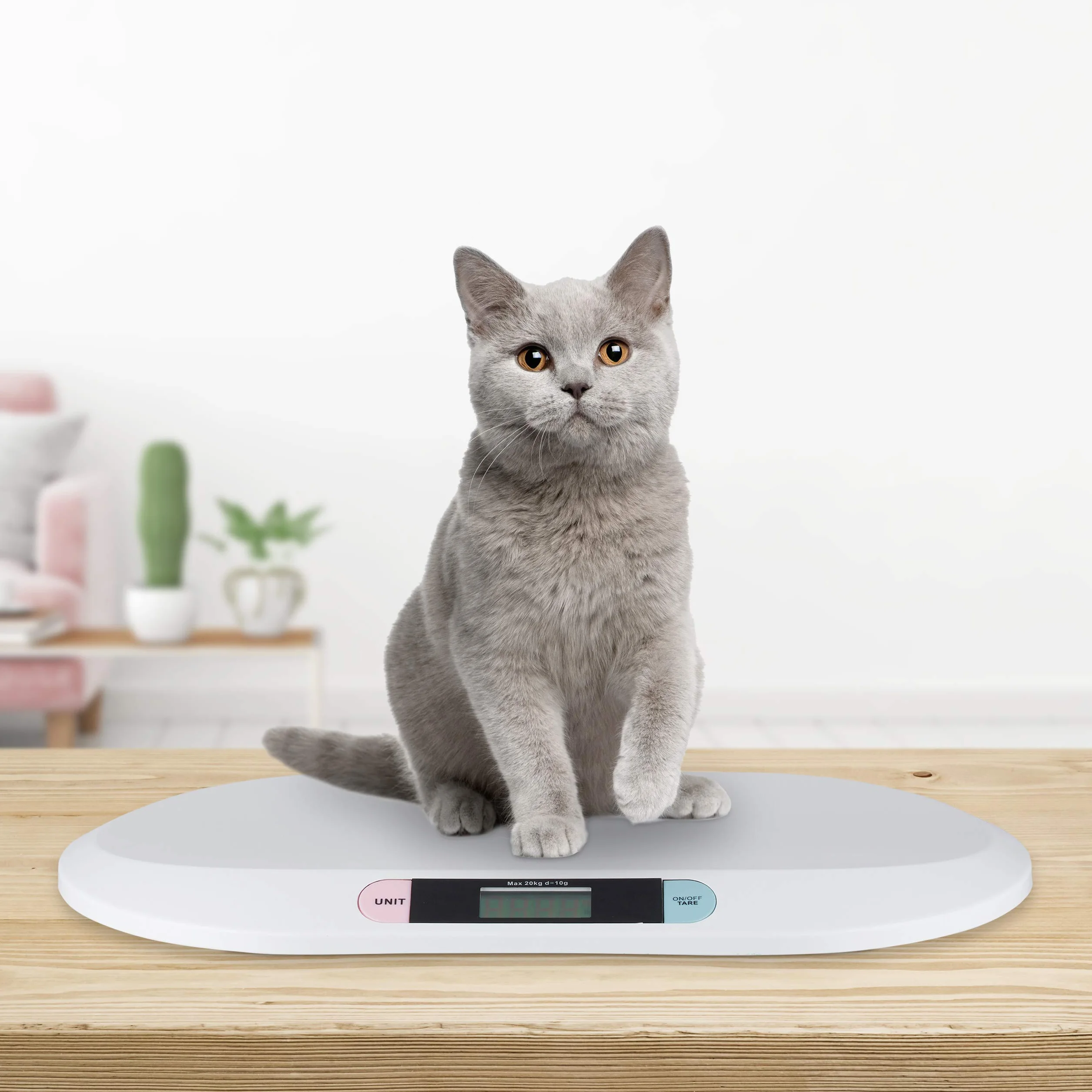 Pèse bébé numérique balance électronique 20 kg blanc