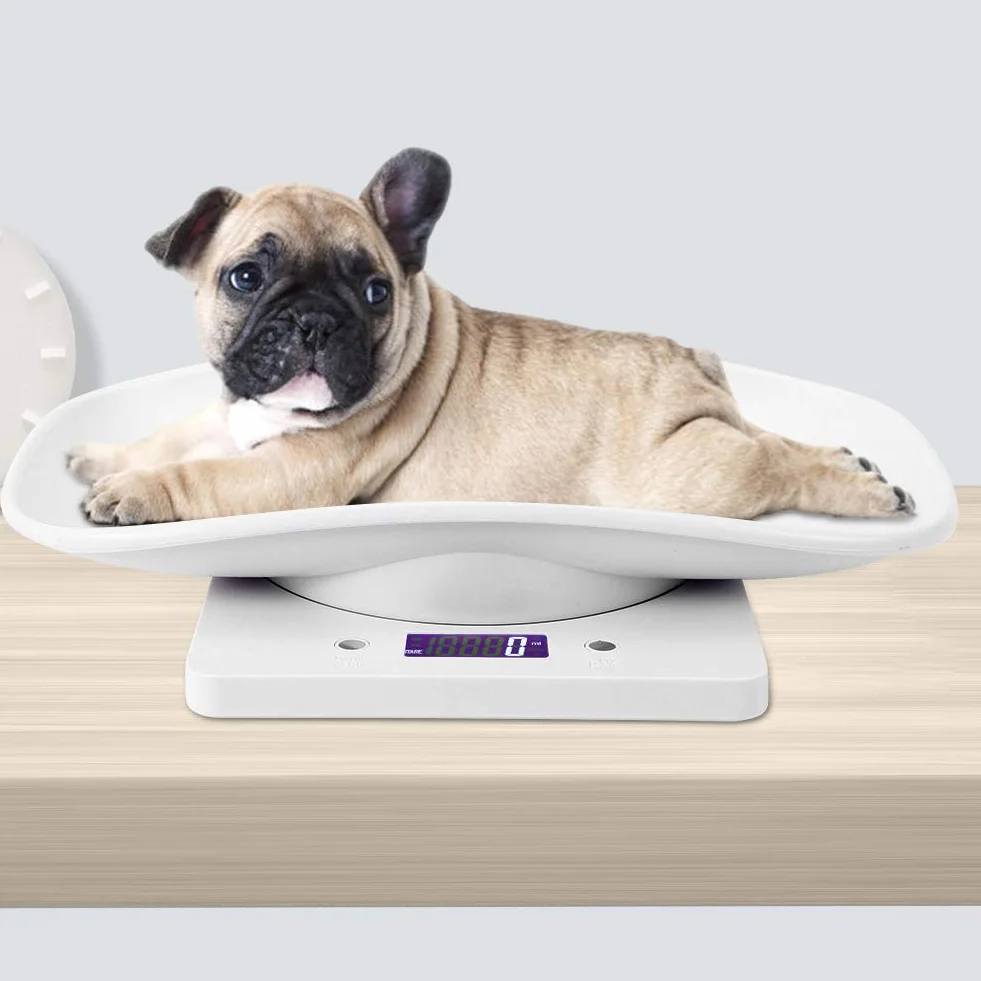 Balance Numérique 10kg/1g pour Petit Animal de Compagnie avec Écran LCD 4 Modes de Pondération