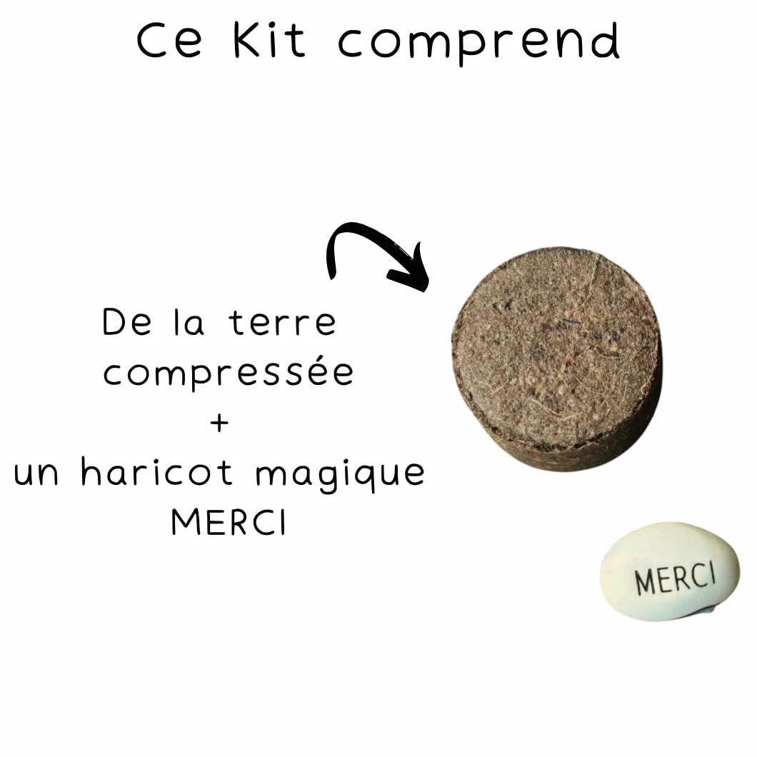 Kit Haricot Magique à Planter Message Gravé MERCI – Cadeau Remerciement Maîtresse Fin d'Année Scolaire