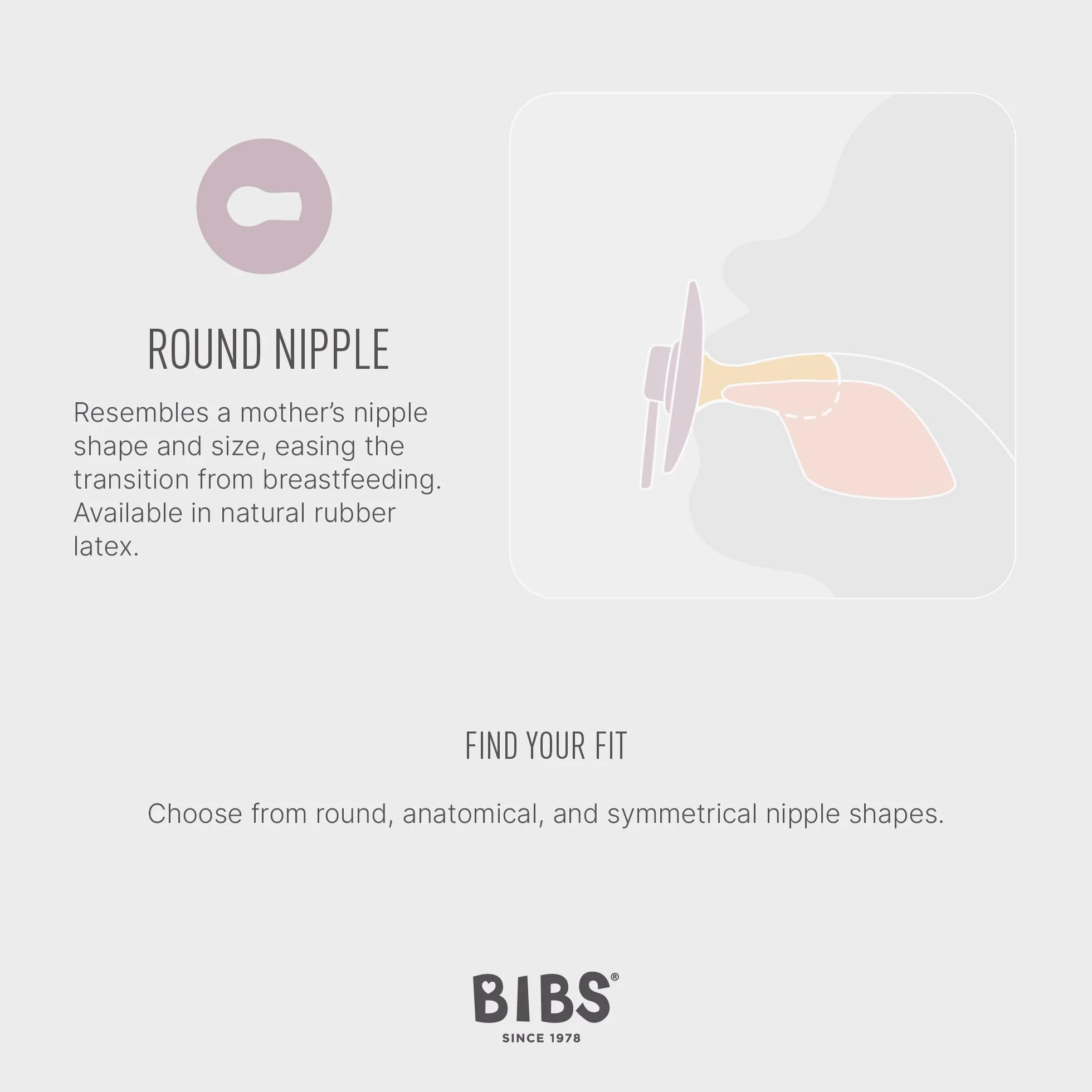BIBS Colour Tétine Lot de 2 12+ Mois Latex Naturel Sans BPA Woodchuck Blush