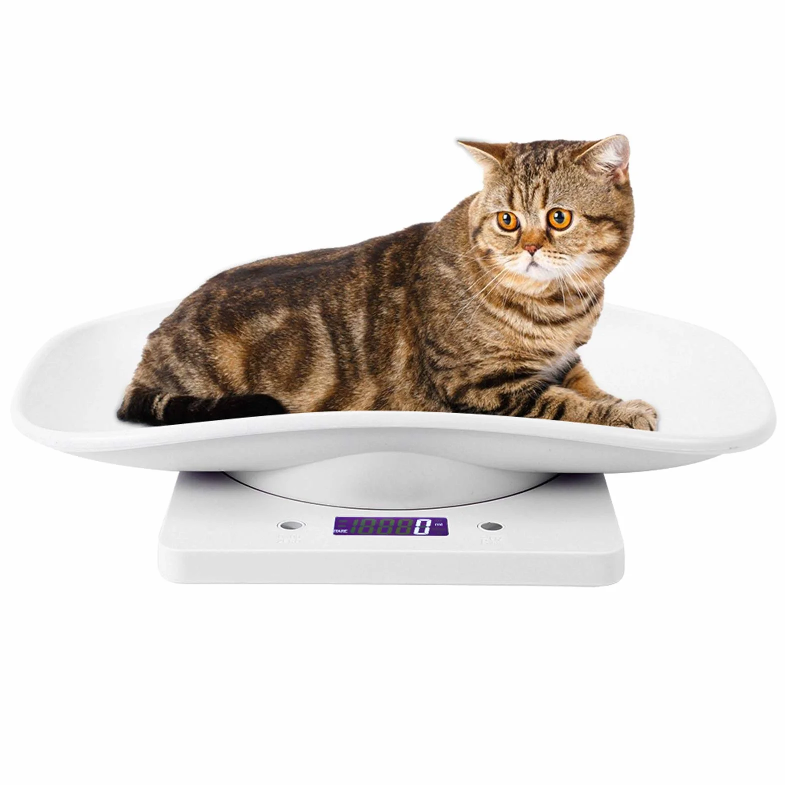 Balance Numérique 10kg/1g pour Petit Animal de Compagnie avec Écran LCD 4 Modes de Pondération