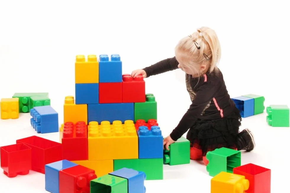 Polesie Blocs de Construction 37503 XXL 24 pièces