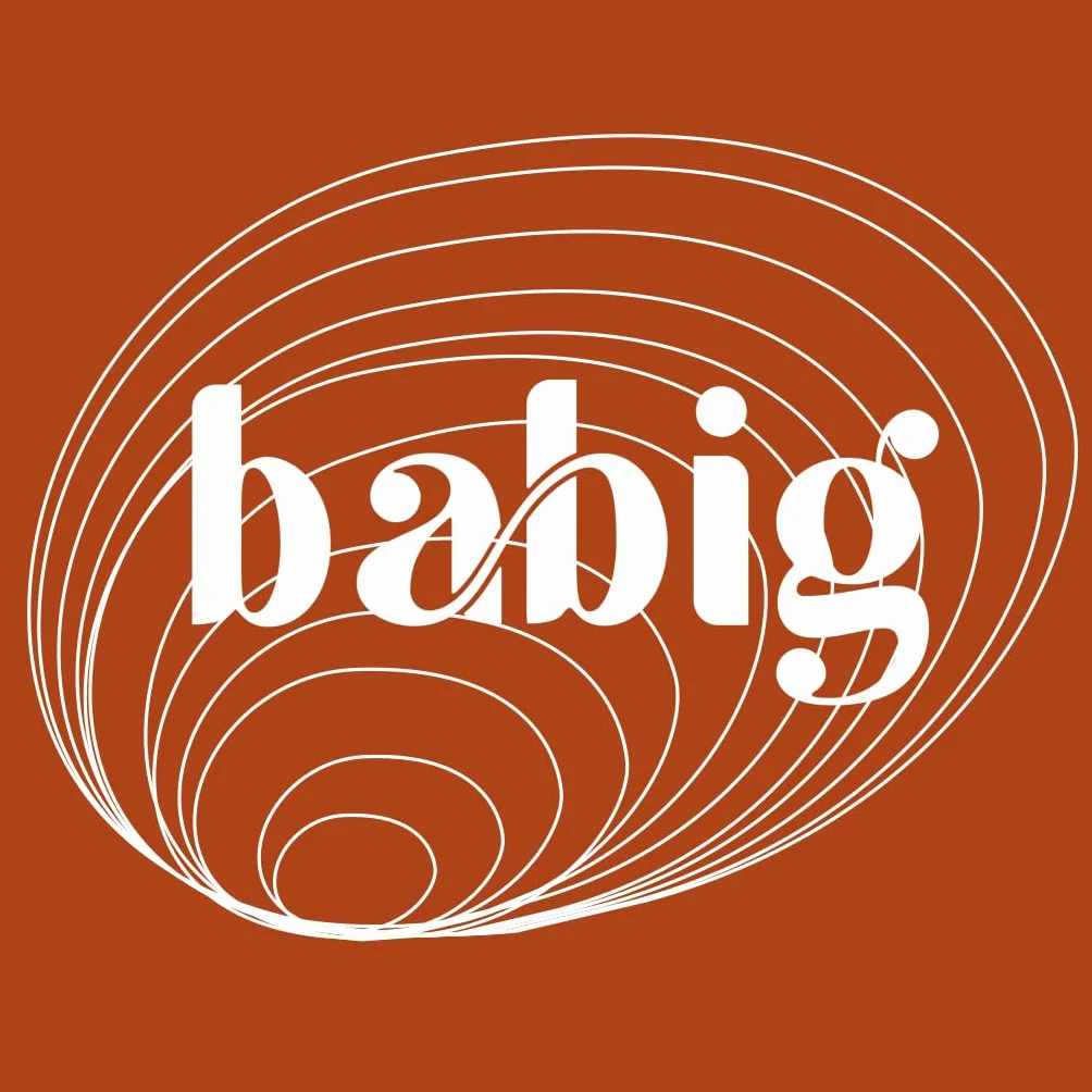 BABIG Coquillages d'Allaitement Taille M 100% Naturels Protection Mamelons Réutilisables