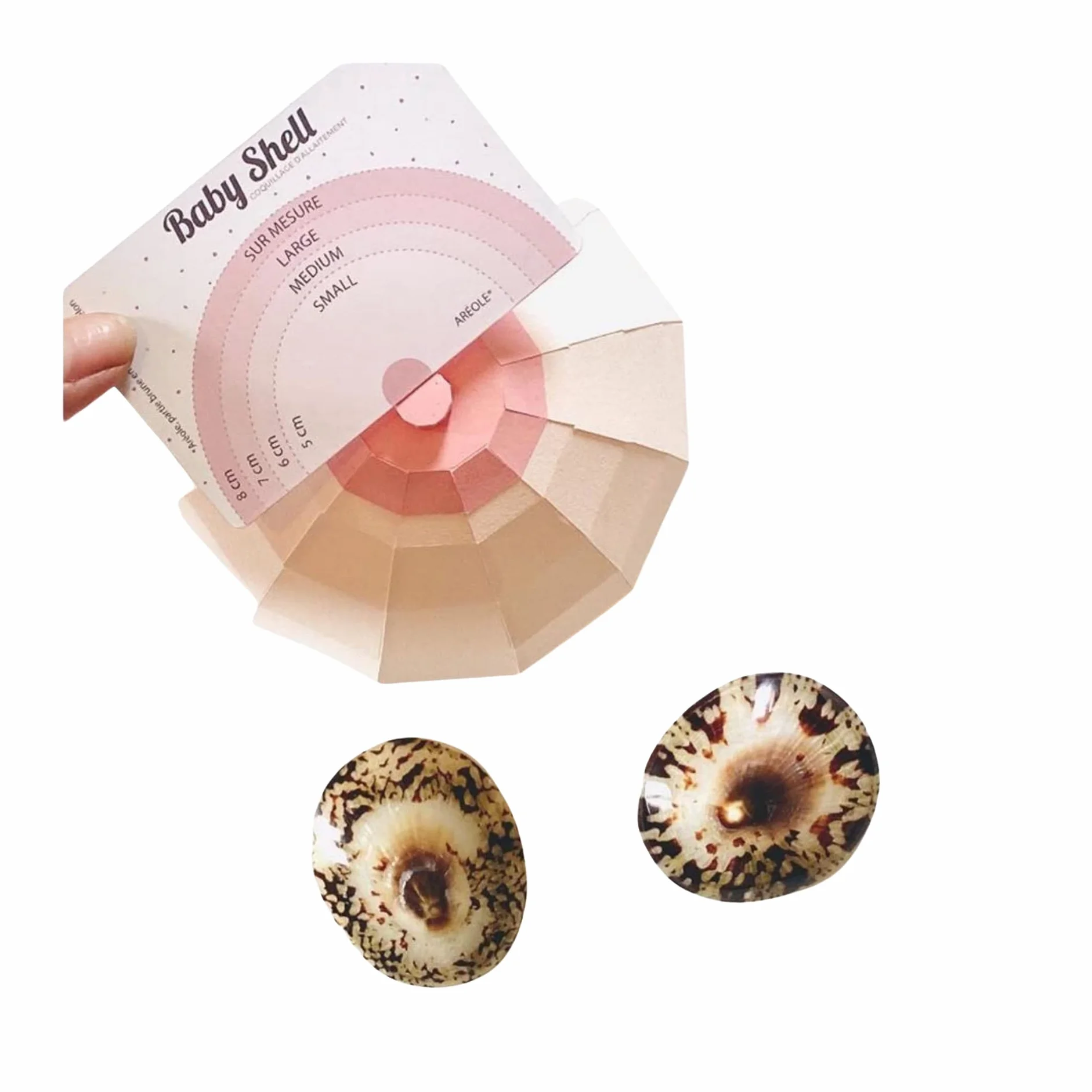 Baby Shell Coquillage d'allaitement Taille Medium Lot de 2 Coquille naturelle prévention fissures