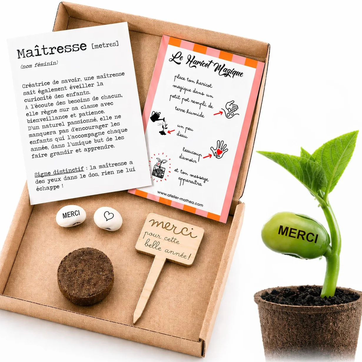 Kit Haricot Magique à Planter Message Gravé MERCI – Cadeau Remerciement Maîtresse Fin d'Année Scolaire