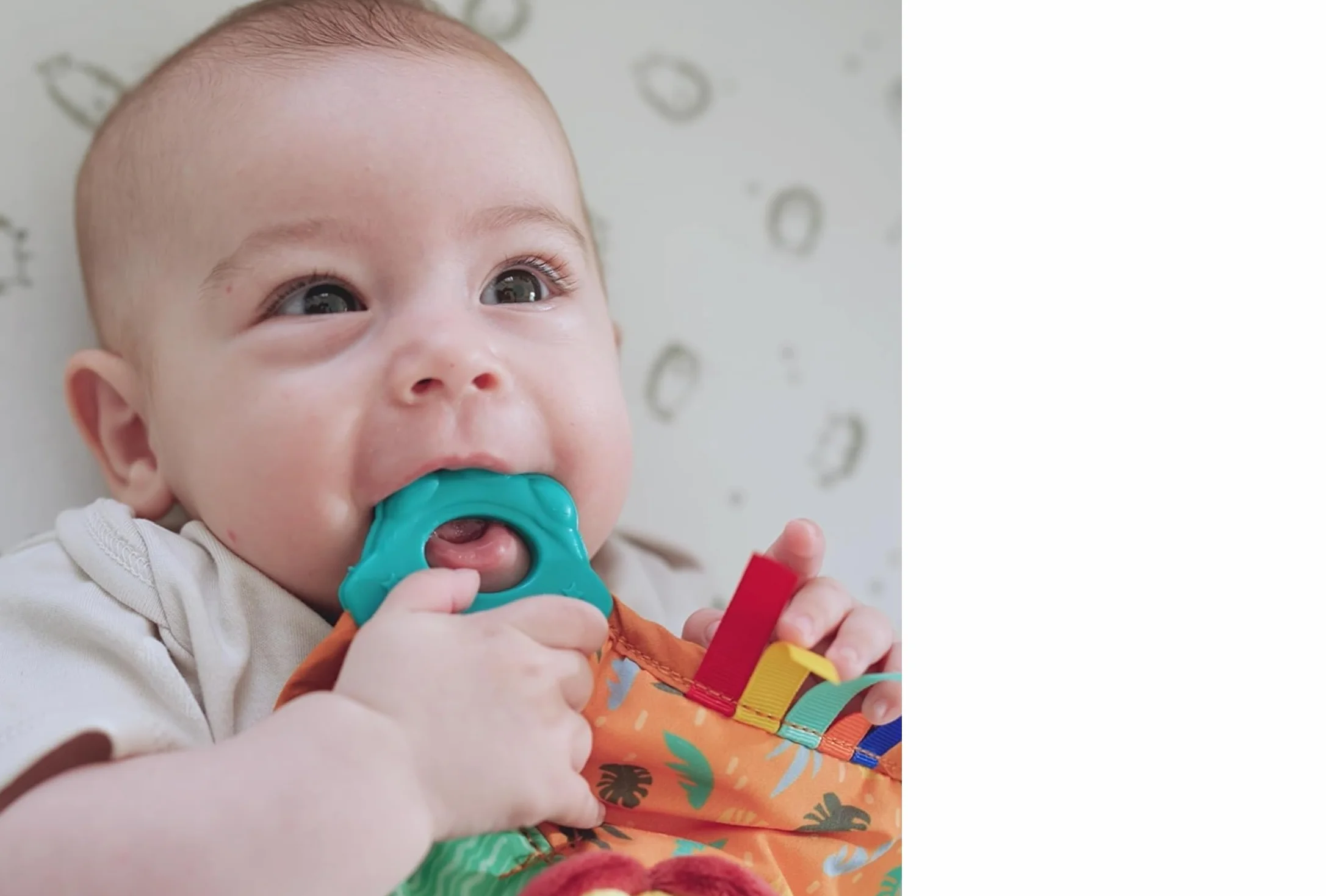 Nuby Doudou de Dentition Lion Multiples Surfaces 3+ Mois