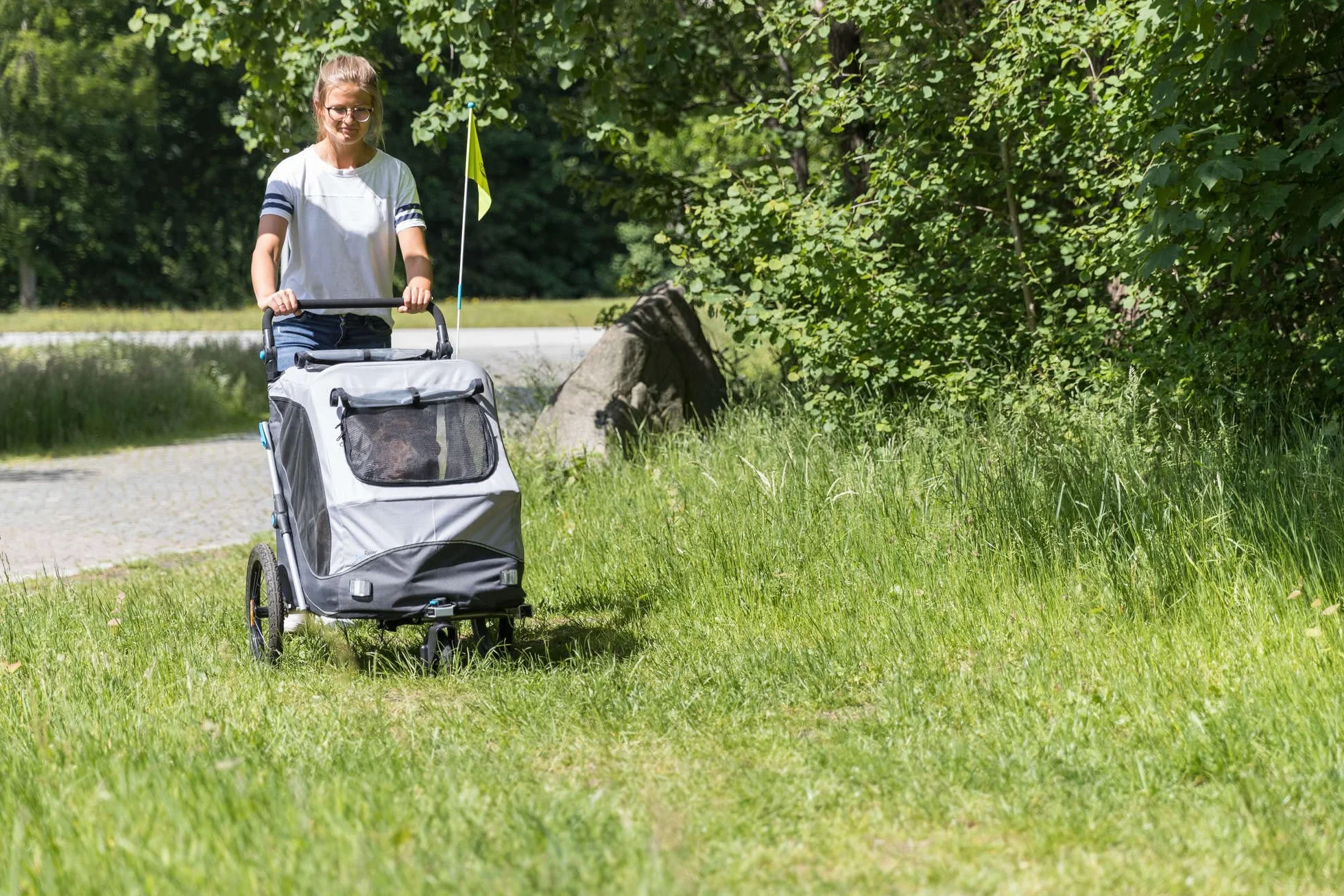 Trixie Roue Avant Buggy pour remorques Chien – Fixation Quick-Click – Articulation 360° – Conversion remorque en Buggy