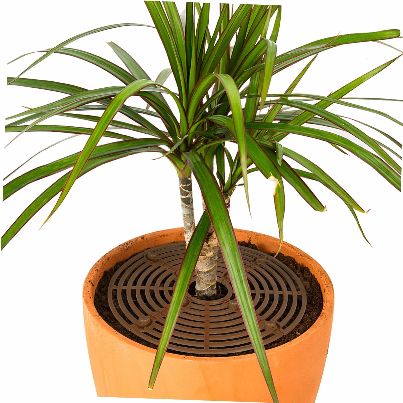 Café 2 Pièces Protection pour Pot de Fleurs en Plastique Facile à Installer