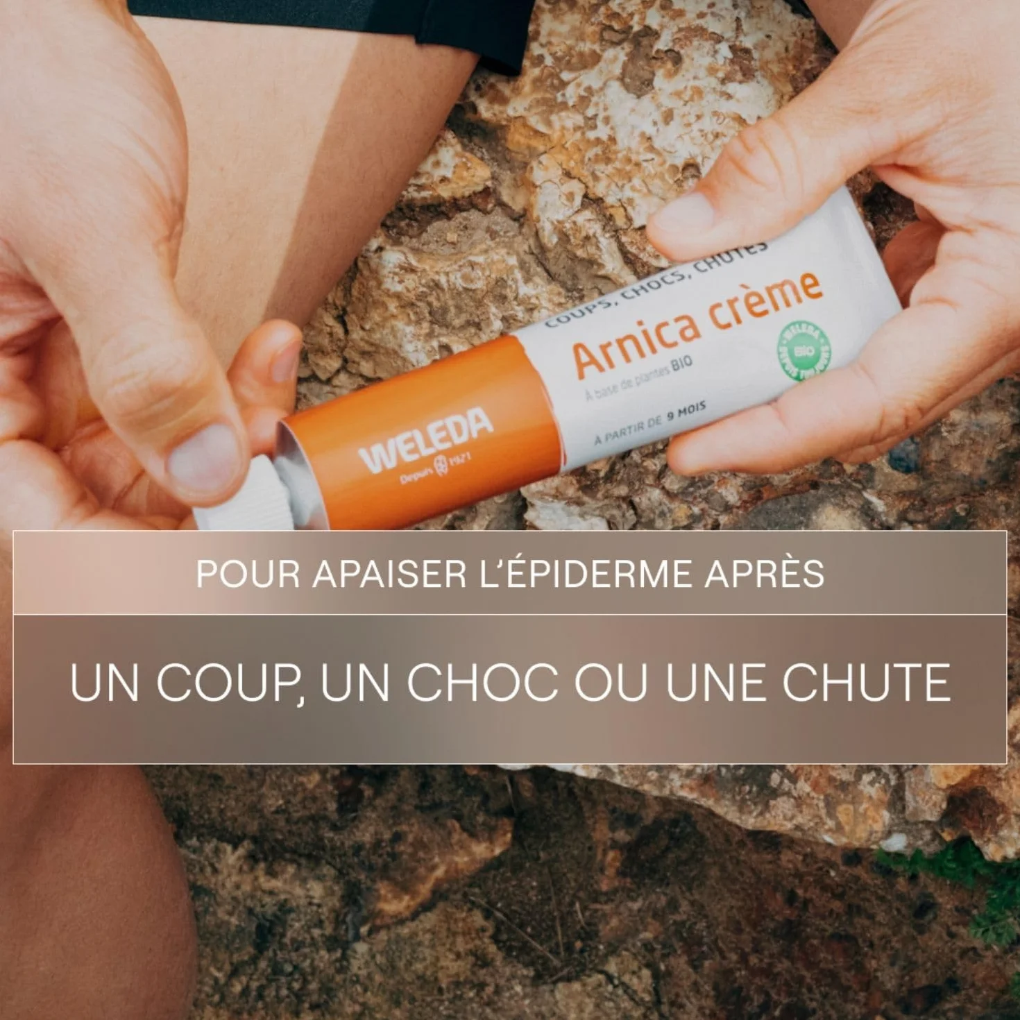 WELEDA Arnica Crème 25g – Coups, Chocs, Chutes, Dès 9 Mois, Ingrédients 100% Naturelle, NATRUE