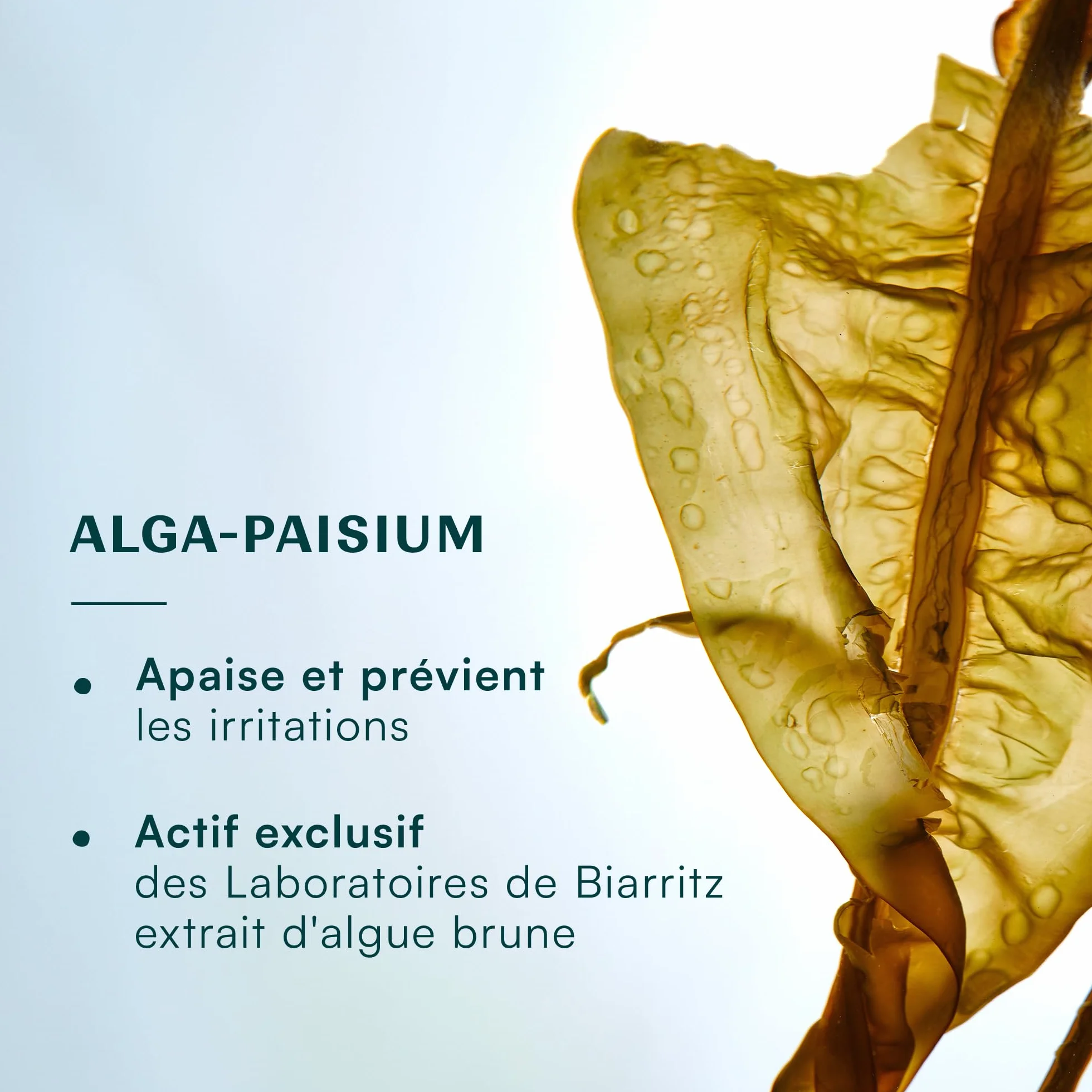 Laboratoires de Biarritz Gel Lavant Surgras Bébé Sans Parfum pH Neutre Certifié Bio 500 ml Fabriqué en France