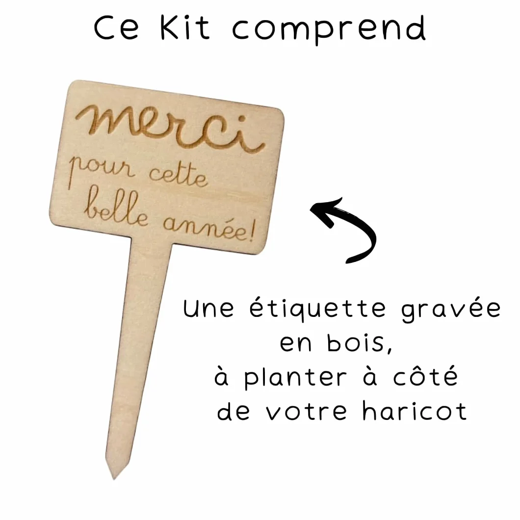 Kit Haricot Magique à Planter Message Gravé MERCI – Cadeau Remerciement Maîtresse Fin d'Année Scolaire