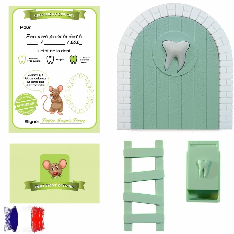 Porte-enfant pour dent la petite souris avec boîte échelle certificats version française vert
