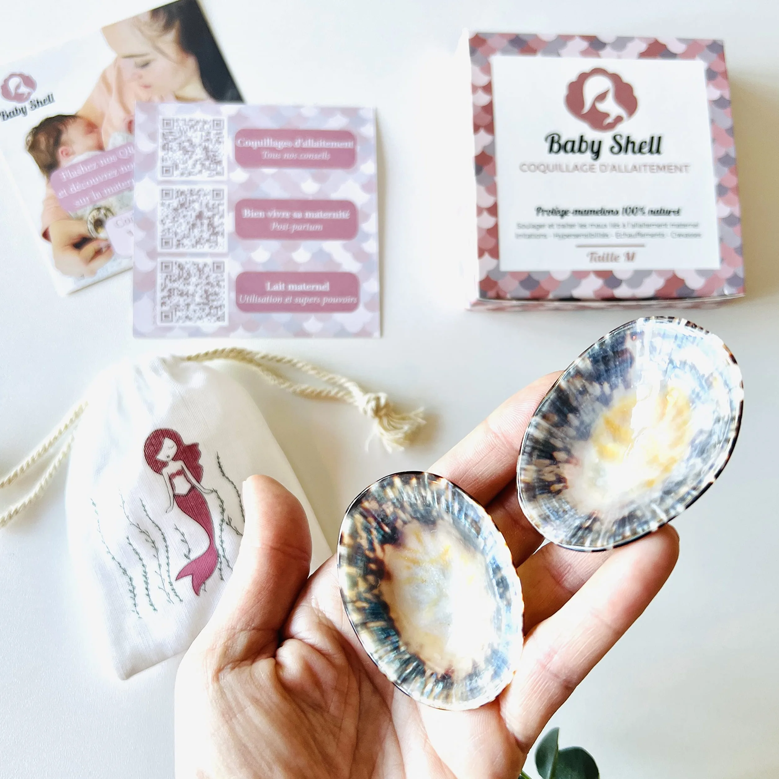 Baby Shell Coquillage d'allaitement Taille Medium Lot de 2 Coquille naturelle prévention fissures
