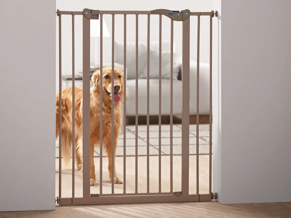 Nobby - Dog Barrier / 76300 - Portail - Hauteur 107 cm