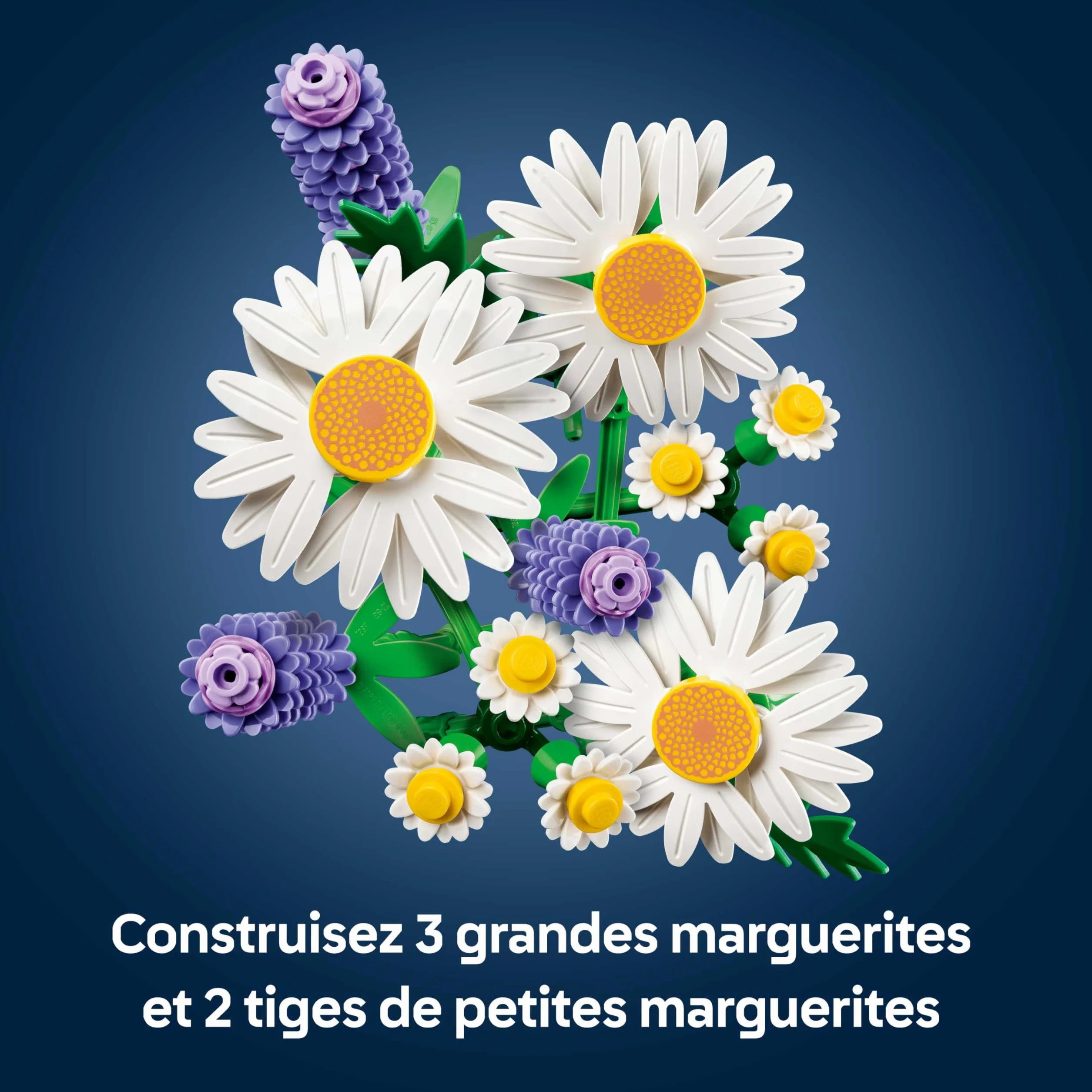 LEGO Botanicals Marguerites 11508 Bouquet de Fleurs Artificielles Marguerites & Lavande Décoration Chambre DIY Cadeau Fille 9 Ans Adulte