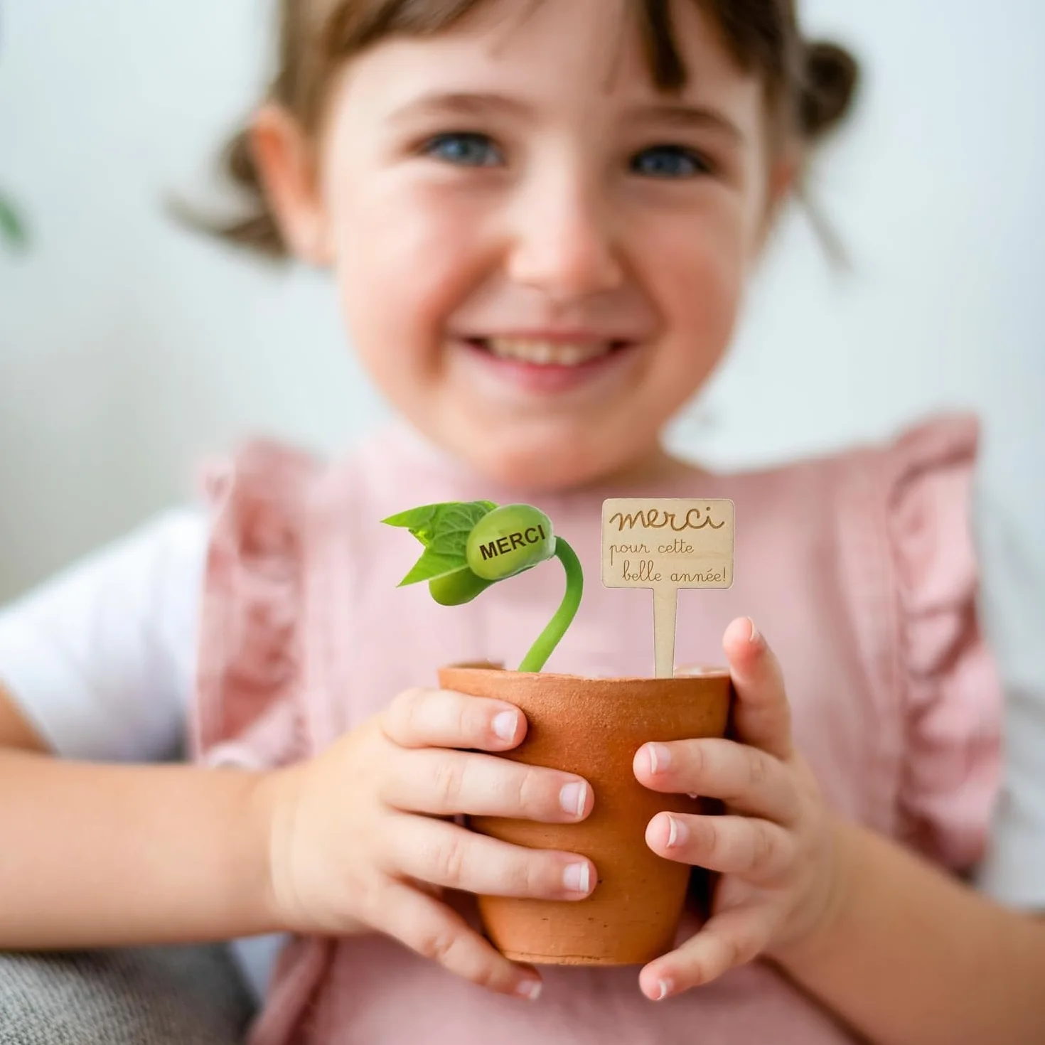 Kit Haricot Magique à Planter Message Gravé MERCI – Cadeau Remerciement Maîtresse Fin d'Année Scolaire