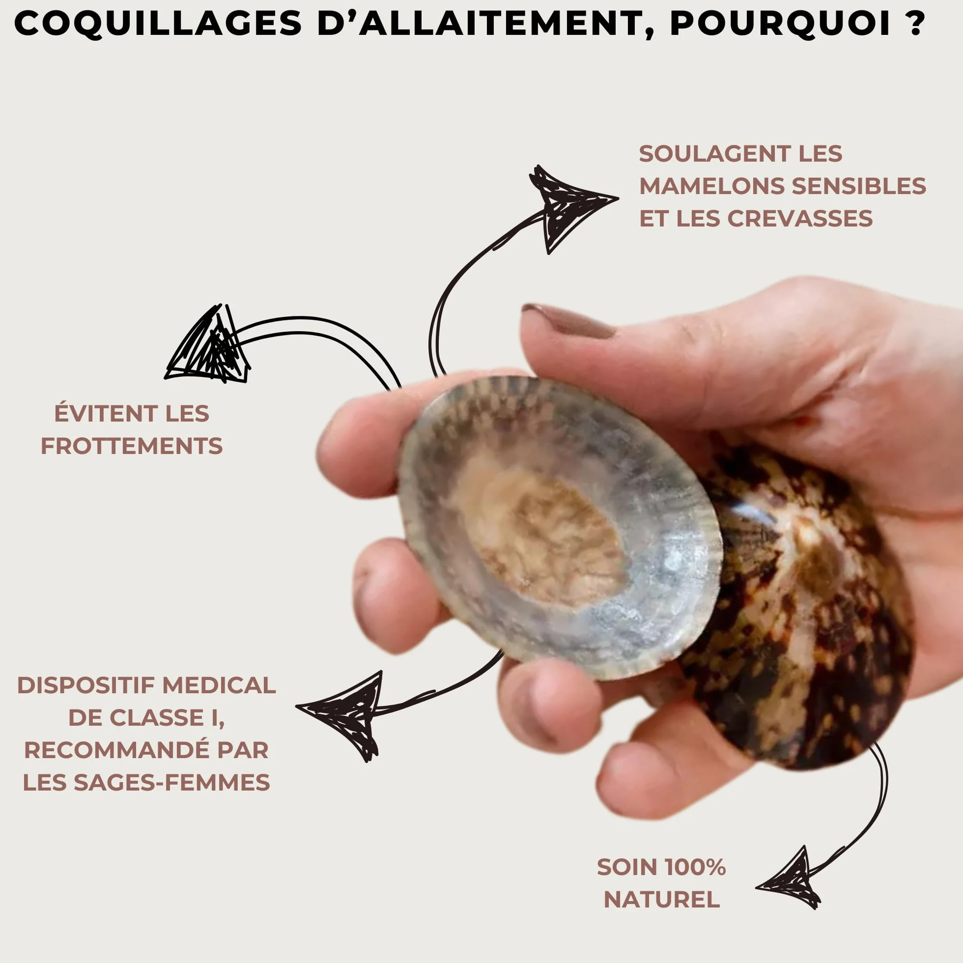 MOM’S SHELLS Essentiel Coquillages d’allaitement en nacre Taille M 5.5/6cm Anti Crevasse Lait Maternel
