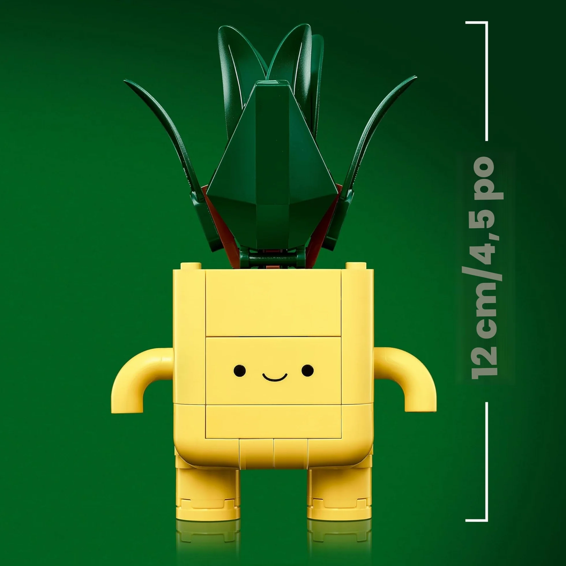 LEGO Botanicals Petites Plantes Souriantes 10349 - Jouet Loisirs Créatifs - 2 Plantes Artificielles avec Pots Fleurs Colorés & Visages Interchangeables - Cadeau Nature pour Fille dès 9 Ans