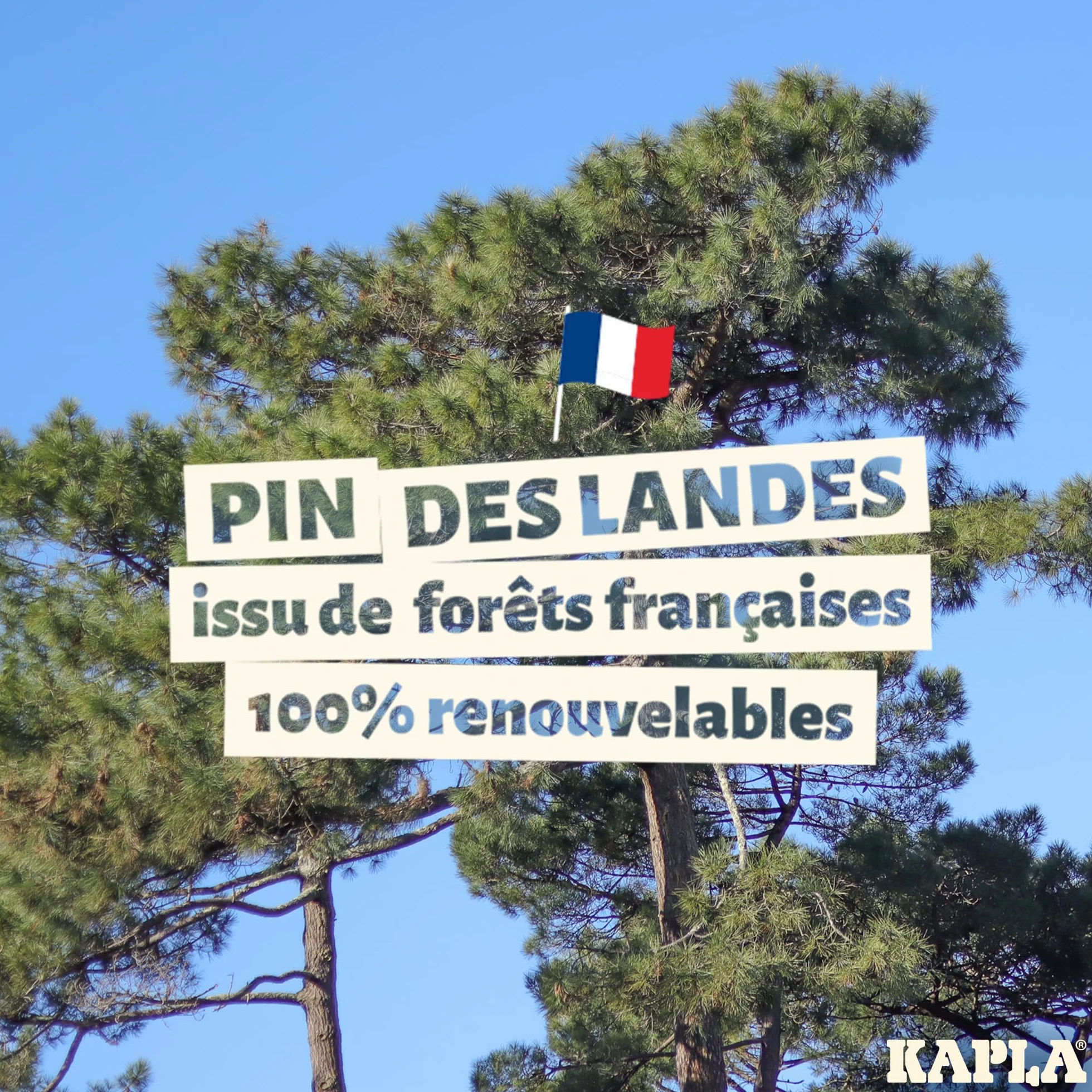 KAPLA Jeu de Construction 120 Planchettes Bois Colorés Nature Bleu Clair Jaune Vert