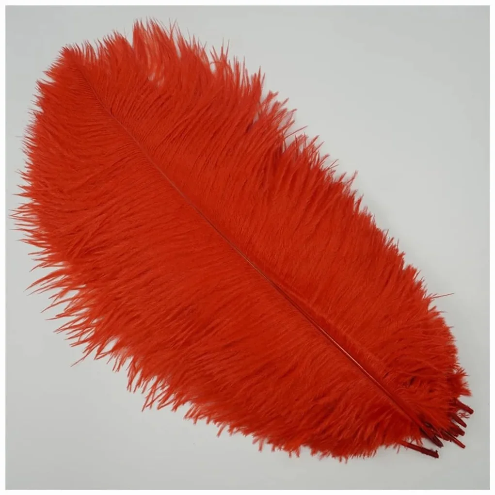 Plumes d'autruche naturelles douces Lot de 10 15-20 cm Rouge