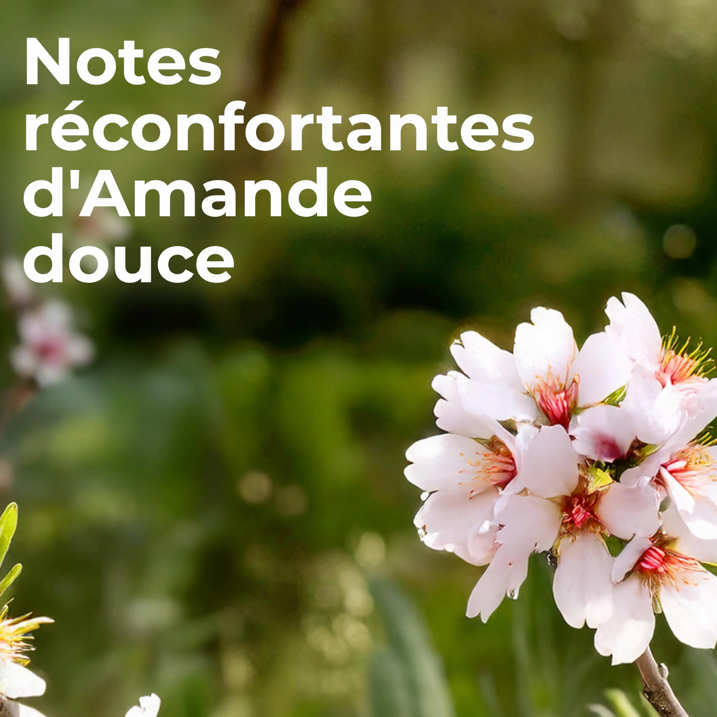 Le Petit Marseillais Bébé Huile de Douceur Amande Douce 118 mL Massage Bain Corps Cheveux Peaux Sensibles