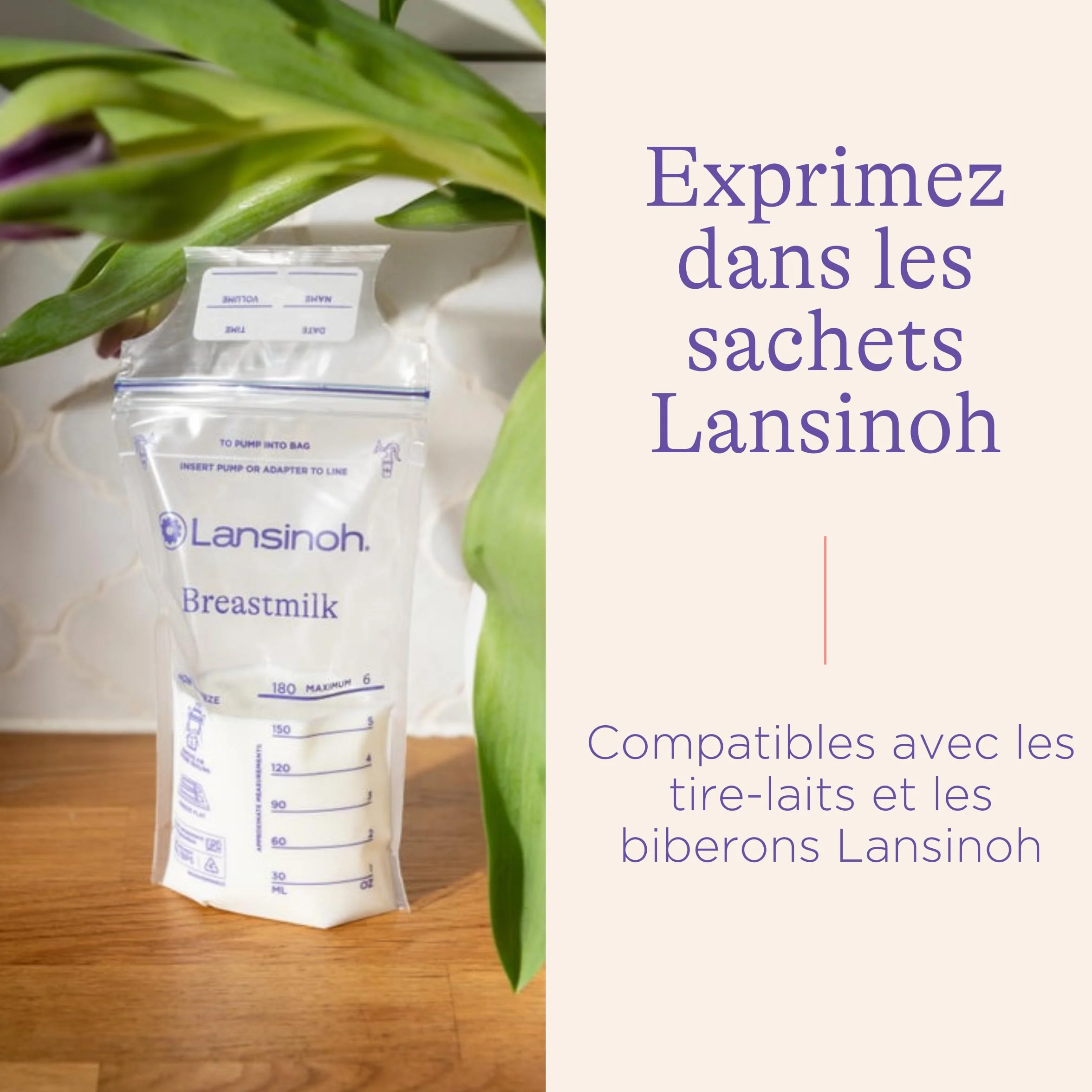 Lansinoh Sachets Conservation Lait Maternel x50 - Pré-stérilisés - Double Zip Anti-Fuite - Sans BPA