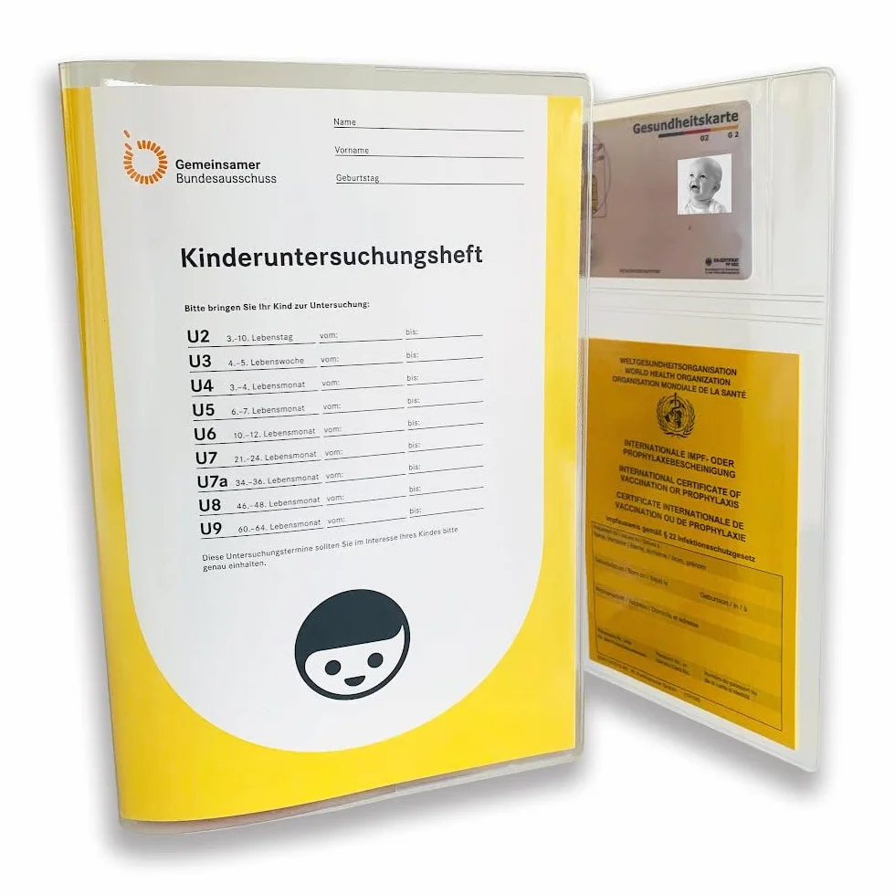 Lot de 3 housses de protection en organza pour carnet d'examen