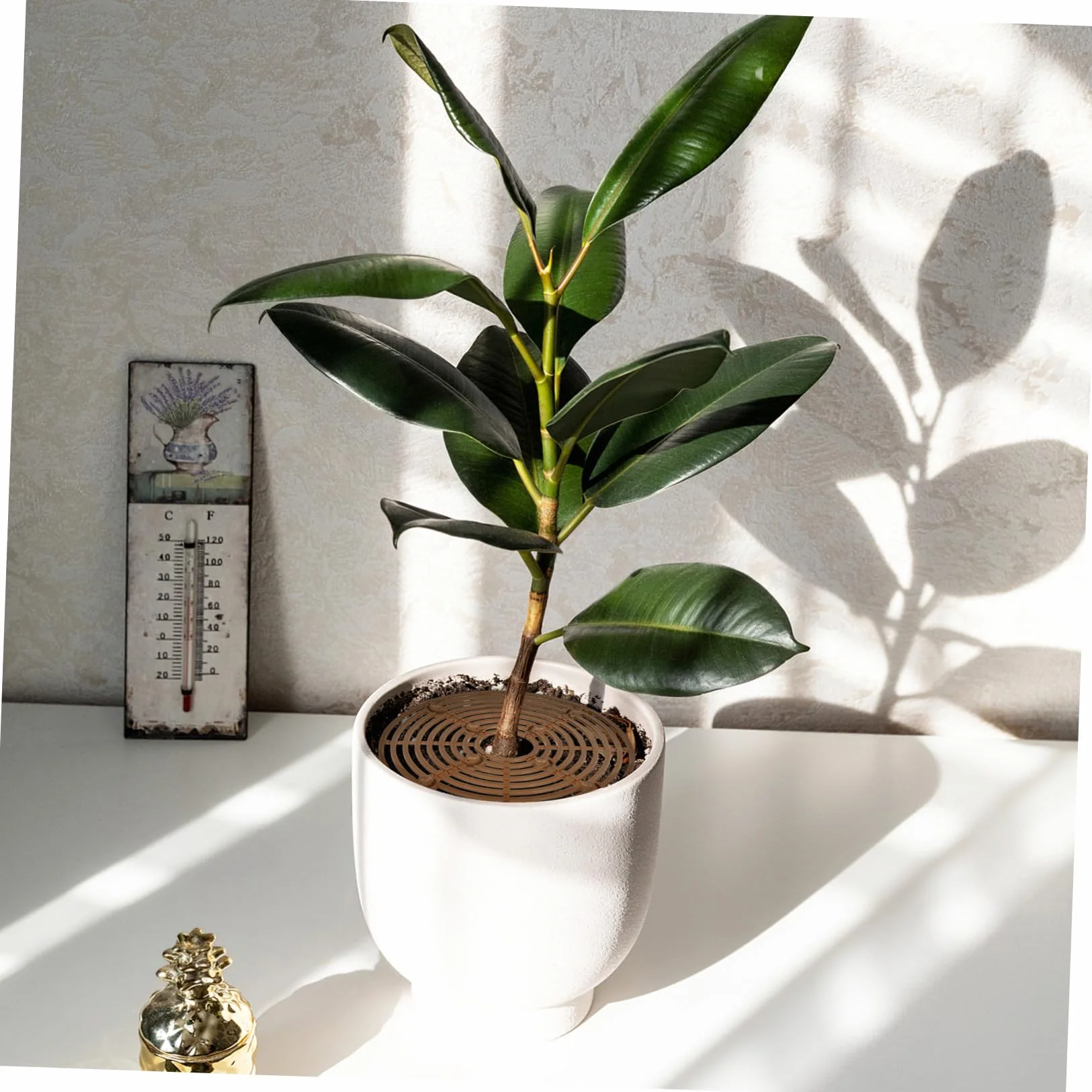 Café 2 Pièces Protection pour Pot de Fleurs en Plastique Facile à Installer