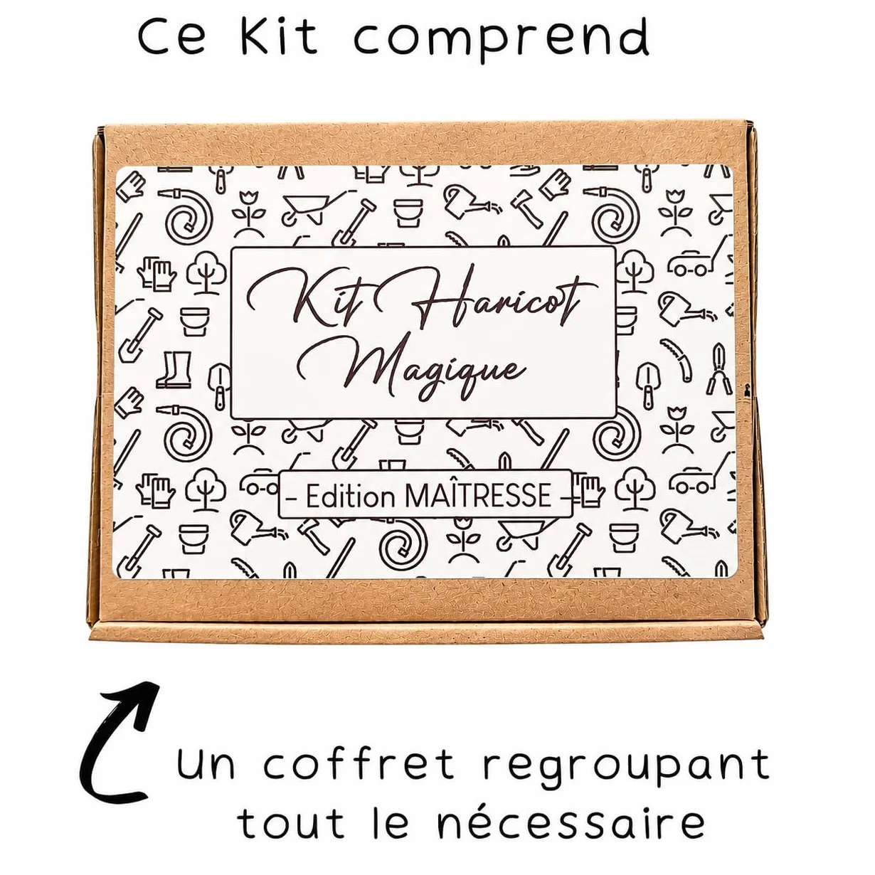 Kit Haricot Magique à Planter Message Gravé MERCI – Cadeau Remerciement Maîtresse Fin d'Année Scolaire