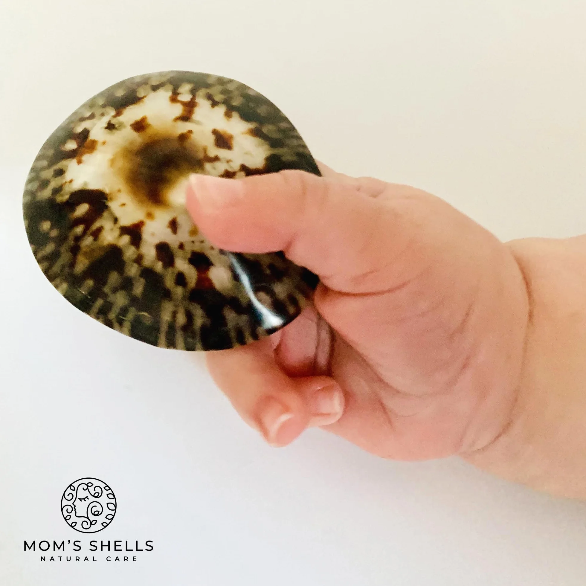 MOM’S SHELLS Essentiel Coquillages d’allaitement en nacre Taille M 5.5/6cm Anti Crevasse Lait Maternel