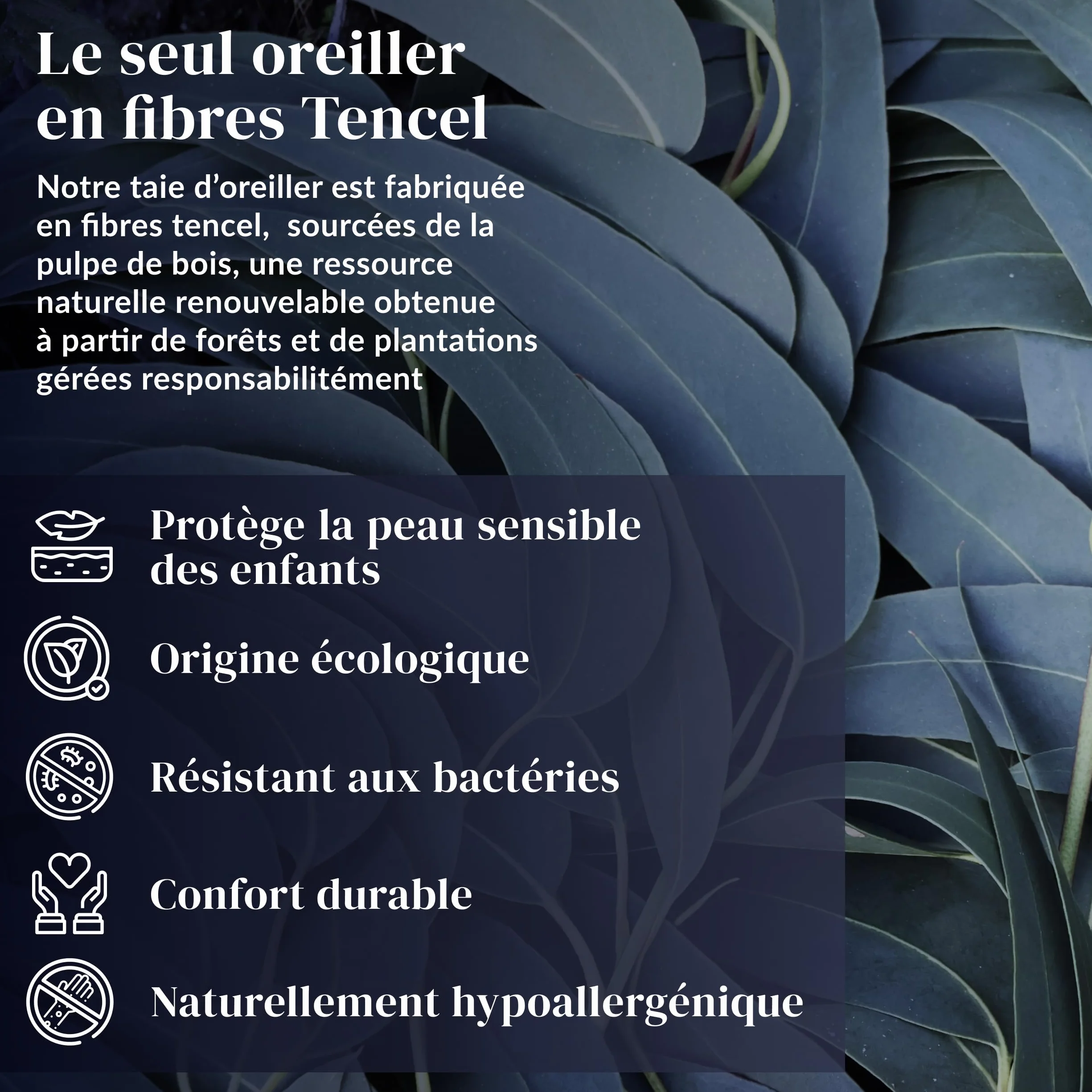 Ferò Oreiller Enfant 60x40x6 TENCEL Hypoallergénique Mousse à Mémoire de Forme OEKO-TEX